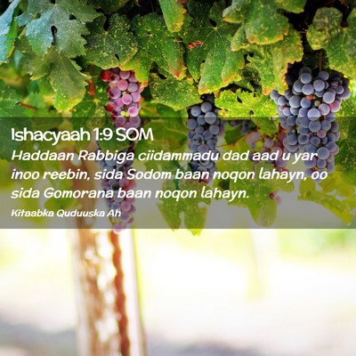 Picture 02 - Ishacyaah 1:9 SOM - Haddaan Rabbiga ciidammadu dad aad u yar inoo - Bible Verse Picture