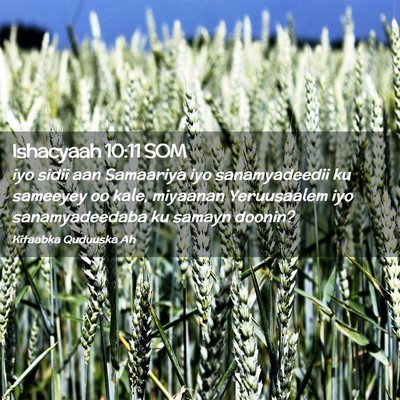 Picture 02 - Ishacyaah 10:11 SOM - iyo sidii aan Samaariya iyo sanamyadeedii ku - Bible Verse Picture