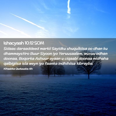 Picture 02 - Ishacyaah 10:12 SOM - Sidaas daraaddeed markii Sayidku shuqulkiisa oo - Bible Verse Picture