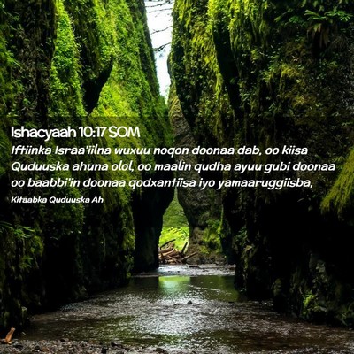 Picture 02 - Ishacyaah 10:17 SOM - Iftiinka Israa'iilna wuxuu noqon doonaa dab, oo - Bible Verse Picture