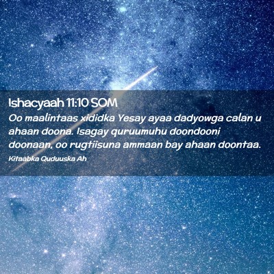 Picture 02 - Ishacyaah 11:10 SOM - Oo maalintaas xididka Yesay ayaa dadyowga calan u - Bible Verse Picture