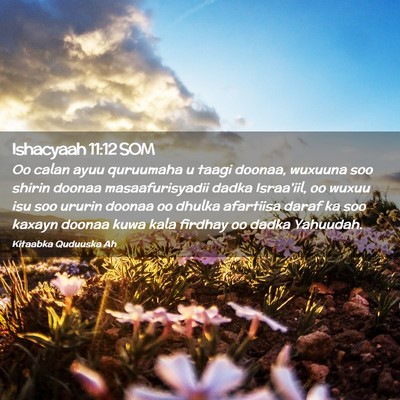 Picture 02 - Ishacyaah 11:12 SOM - Oo calan ayuu quruumaha u taagi doonaa, wuxuuna - Bible Verse Picture