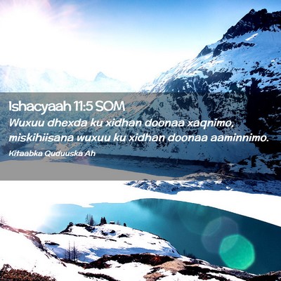 Picture 02 - Ishacyaah 11:5 SOM - Wuxuu dhexda ku xidhan doonaa xaqnimo, - Bible Verse Picture