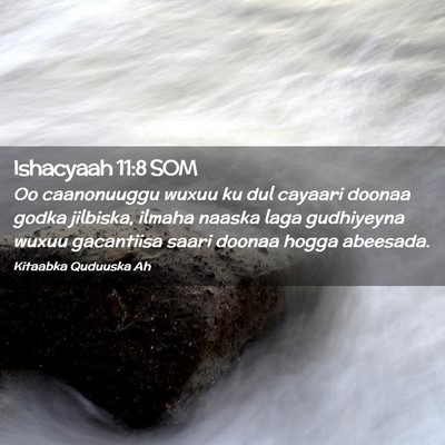 Picture 02 - Ishacyaah 11:8 SOM - Oo caanonuuggu wuxuu ku dul cayaari doonaa godka - Bible Verse Picture