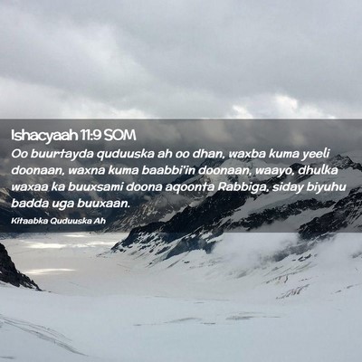 Picture 02 - Ishacyaah 11:9 SOM - Oo buurtayda quduuska ah oo dhan, waxba kuma - Bible Verse Picture