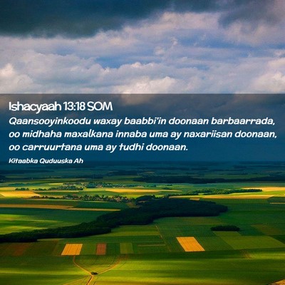 Picture 02 - Ishacyaah 13:18 SOM - Qaansooyinkoodu waxay baabbi'in doonaan - Bible Verse Picture