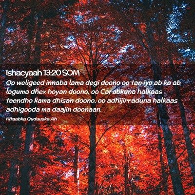 Picture 02 - Ishacyaah 13:20 SOM - Oo weligeed innaba lama degi doono oo tan iyo ab - Bible Verse Picture