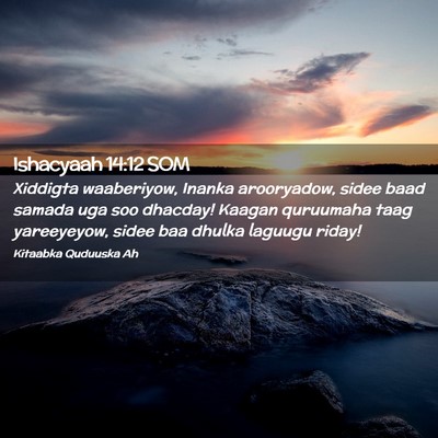Picture 02 - Ishacyaah 14:12 SOM - Xiddigta waaberiyow, Inanka arooryadow, sidee - Bible Verse Picture