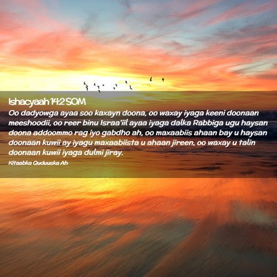 Picture 02 - Ishacyaah 14:2 SOM - Oo dadyowga ayaa soo kaxayn doona, oo waxay iyaga - Bible Verse Picture