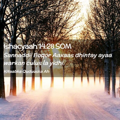 Picture 02 - Ishacyaah 14:28 SOM - Sannaddii Boqor Aaxaas dhintay ayaa warkan culus - Bible Verse Picture