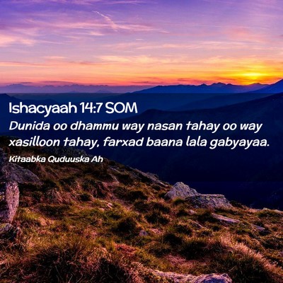 Picture 02 - Ishacyaah 14:7 SOM - Dunida oo dhammu way nasan tahay oo way xasilloon - Bible Verse Picture