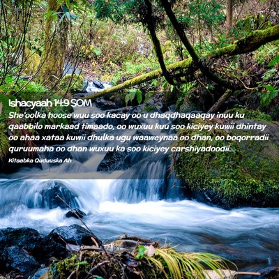 Picture 02 - Ishacyaah 14:9 SOM - She'oolka hoose wuu soo kacay oo u dhaqdhaqaaqay - Bible Verse Picture
