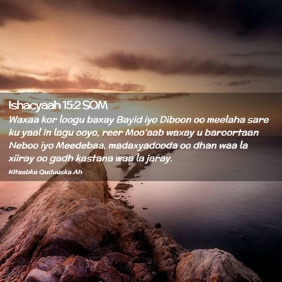 Picture 02 - Ishacyaah 15:2 SOM - Waxaa kor loogu baxay Bayid iyo Diboon oo meelaha - Bible Verse Picture