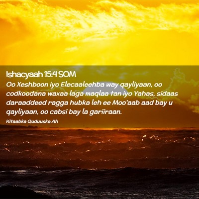 Picture 02 - Ishacyaah 15:4 SOM - Oo Xeshboon iyo Elecaaleehba way qayliyaan, oo - Bible Verse Picture