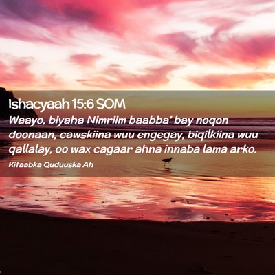 Picture 02 - Ishacyaah 15:6 SOM - Waayo, biyaha Nimriim baabba' bay noqon doonaan, - Bible Verse Picture