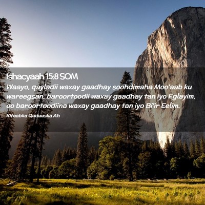 Picture 02 - Ishacyaah 15:8 SOM - Waayo, qayladii waxay gaadhay soohdimaha Moo'aab - Bible Verse Picture