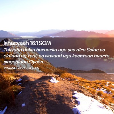 Picture 02 - Ishacyaah 16:1 SOM - Taliyaha dalka baraarka uga soo dira Selac oo - Bible Verse Picture