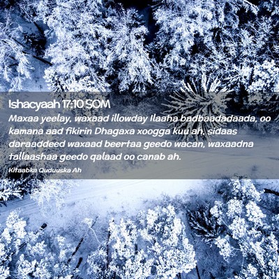 Picture 02 - Ishacyaah 17:10 SOM - Maxaa yeelay, waxaad illowday Ilaaha - Bible Verse Picture