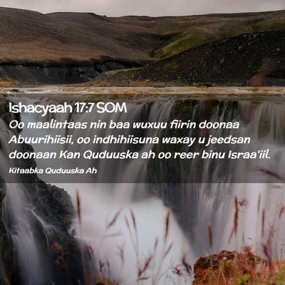 Picture 02 - Ishacyaah 17:7 SOM - Oo maalintaas nin baa wuxuu fiirin doonaa - Bible Verse Picture