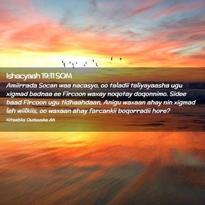 Picture 02 - Ishacyaah 19:11 SOM - Amiirrada Socan waa nacasyo, oo taladii - Bible Verse Picture
