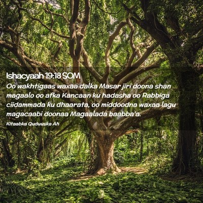 Picture 02 - Ishacyaah 19:18 SOM - Oo wakhtigaas waxaa dalka Masar jiri doona shan - Bible Verse Picture