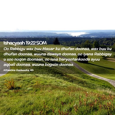 Picture 02 - Ishacyaah 19:22 SOM - Oo Rabbigu wax buu Masar ku dhufan doonaa, wax - Bible Verse Picture