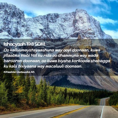 Picture 02 - Ishacyaah 19:8 SOM - Oo kalluumaystayaashuna way ooyi doonaan, kuwa - Bible Verse Picture
