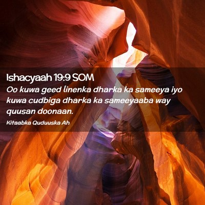 Picture 02 - Ishacyaah 19:9 SOM - Oo kuwa geed linenka dharka ka sameeya iyo kuwa - Bible Verse Picture