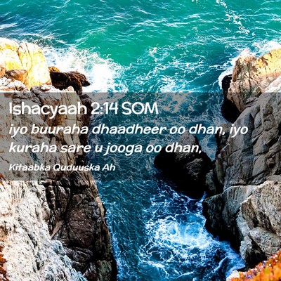 Picture 02 - Ishacyaah 2:14 SOM - iyo buuraha dhaadheer oo dhan, iyo kuraha sare u - Bible Verse Picture