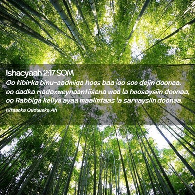Picture 02 - Ishacyaah 2:17 SOM - Oo kibirka binu-aadmiga hoos baa loo soo dejin - Bible Verse Picture