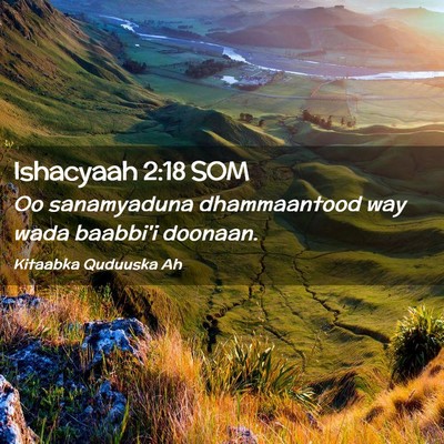 Picture 02 - Ishacyaah 2:18 SOM - Oo sanamyaduna dhammaantood way wada baabbi'i - Bible Verse Picture