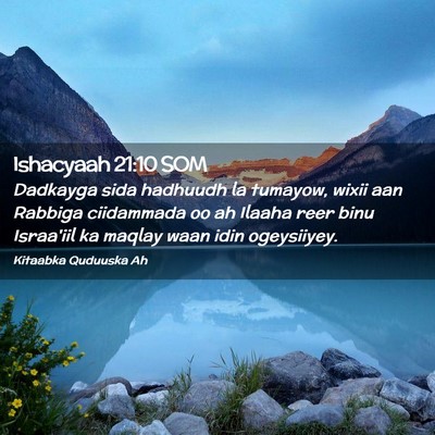 Picture 02 - Ishacyaah 21:10 SOM - Dadkayga sida hadhuudh la tumayow, wixii aan - Bible Verse Picture