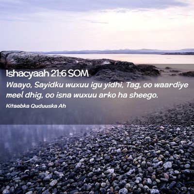 Picture 02 - Ishacyaah 21:6 SOM - Waayo, Sayidku wuxuu igu yidhi, Tag, oo waardiye - Bible Verse Picture