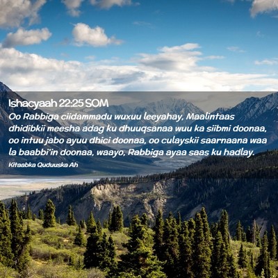 Picture 02 - Ishacyaah 22:25 SOM - Oo Rabbiga ciidammadu wuxuu leeyahay, Maalintaas - Bible Verse Picture