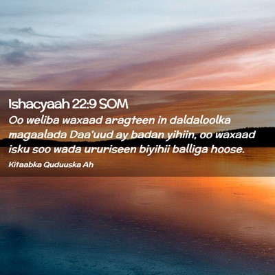 Picture 02 - Ishacyaah 22:9 SOM - Oo weliba waxaad aragteen in daldaloolka - Bible Verse Picture