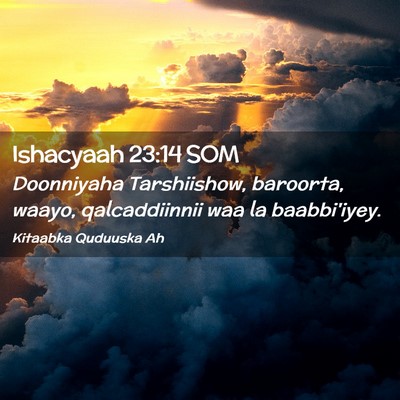 Picture 02 - Ishacyaah 23:14 SOM - Doonniyaha Tarshiishow, baroorta, waayo, - Bible Verse Picture