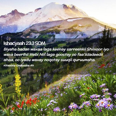 Picture 02 - Ishacyaah 23:3 SOM - Biyaha badan waxaa laga keenay sarreenkii - Bible Verse Picture