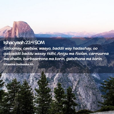 Picture 02 - Ishacyaah 23:4 SOM - Siidoonay, ceebow, waayo, baddii way hadashay, oo - Bible Verse Picture