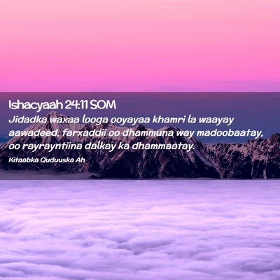 Picture 02 - Ishacyaah 24:11 SOM - Jidadka waxaa looga ooyayaa khamri la waayay - Bible Verse Picture