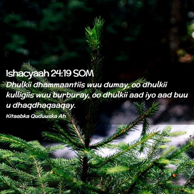 Picture 02 - Ishacyaah 24:19 SOM - Dhulkii dhammaantiis wuu dumay, oo dhulkii - Bible Verse Picture