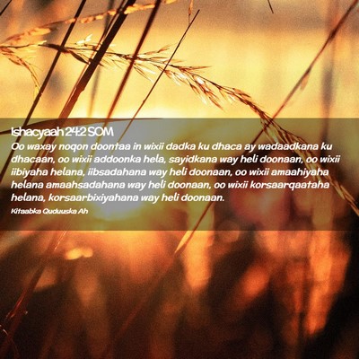 Picture 02 - Ishacyaah 24:2 SOM - Oo waxay noqon doontaa in wixii dadka ku dhaca ay - Bible Verse Picture