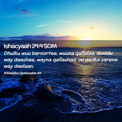 Picture 02 - Ishacyaah 24:4 SOM - Dhulku wuu baroortaa, wuuna qallalaa, dunidu way - Bible Verse Picture