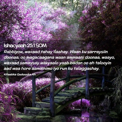 Picture 02 - Ishacyaah 25:1 SOM - Rabbiyow, waxaad tahay Ilaahay. Waan ku - Bible Verse Picture