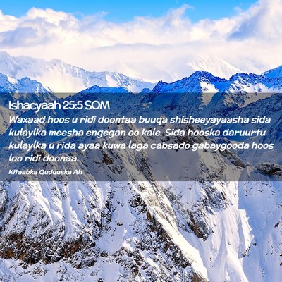 Picture 02 - Ishacyaah 25:5 SOM - Waxaad hoos u ridi doontaa buuqa shisheeyayaasha - Bible Verse Picture