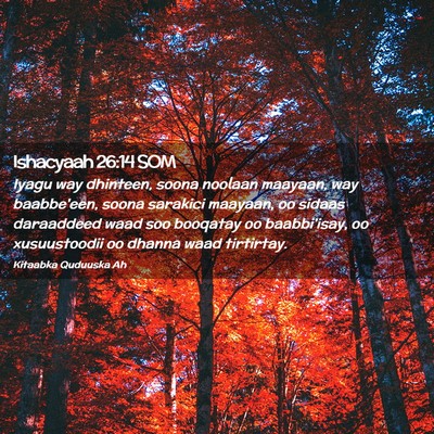 Picture 02 - Ishacyaah 26:14 SOM - Iyagu way dhinteen, soona noolaan maayaan, way - Bible Verse Picture