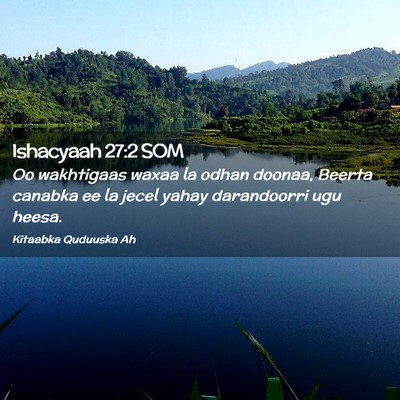 Picture 02 - Ishacyaah 27:2 SOM - Oo wakhtigaas waxaa la odhan doonaa, Beerta - Bible Verse Picture