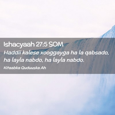 Picture 02 - Ishacyaah 27:5 SOM - Haddii kalese xooggayga ha la qabsado, ha layla - Bible Verse Picture