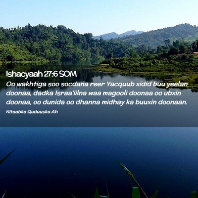 Picture 02 - Ishacyaah 27:6 SOM - Oo wakhtiga soo socdana reer Yacquub xidid buu - Bible Verse Picture