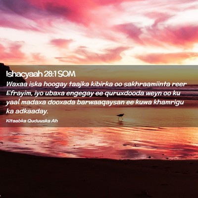 Picture 02 - Ishacyaah 28:1 SOM - Waxaa iska hoogay taajka kibirka oo sakhraamiinta - Bible Verse Picture