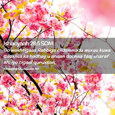 Picture 02 - Ishacyaah 28:5 SOM - Oo wakhtigaas Rabbiga ciidammadu wuxuu kuwa - Bible Verse Picture